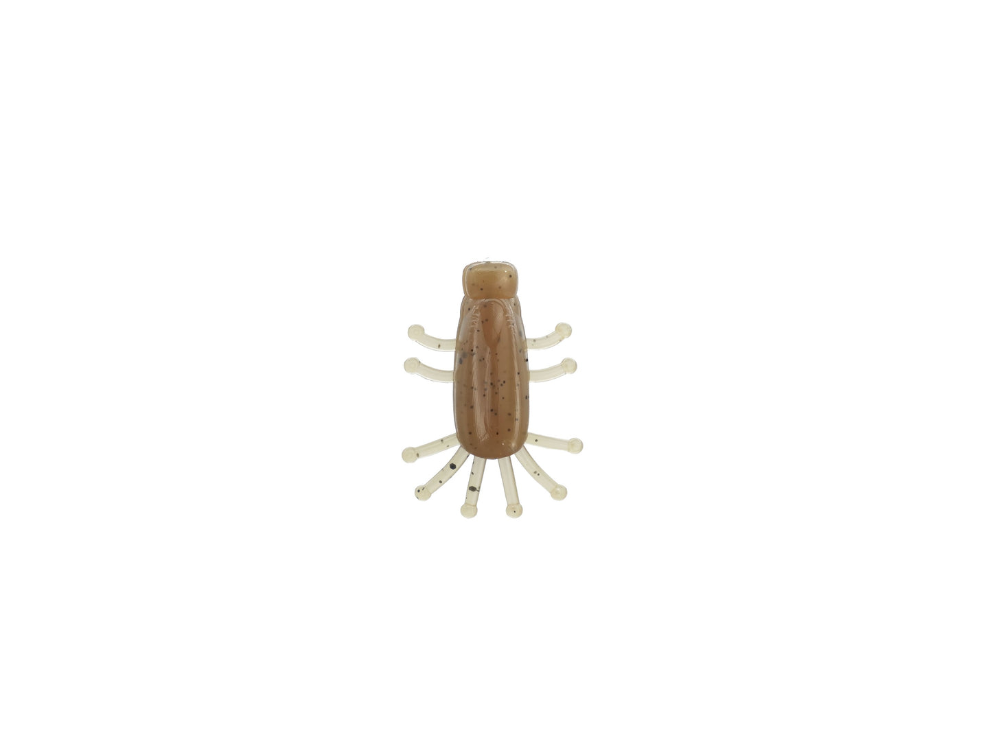 La Bébête 2,5cm / 0.98"