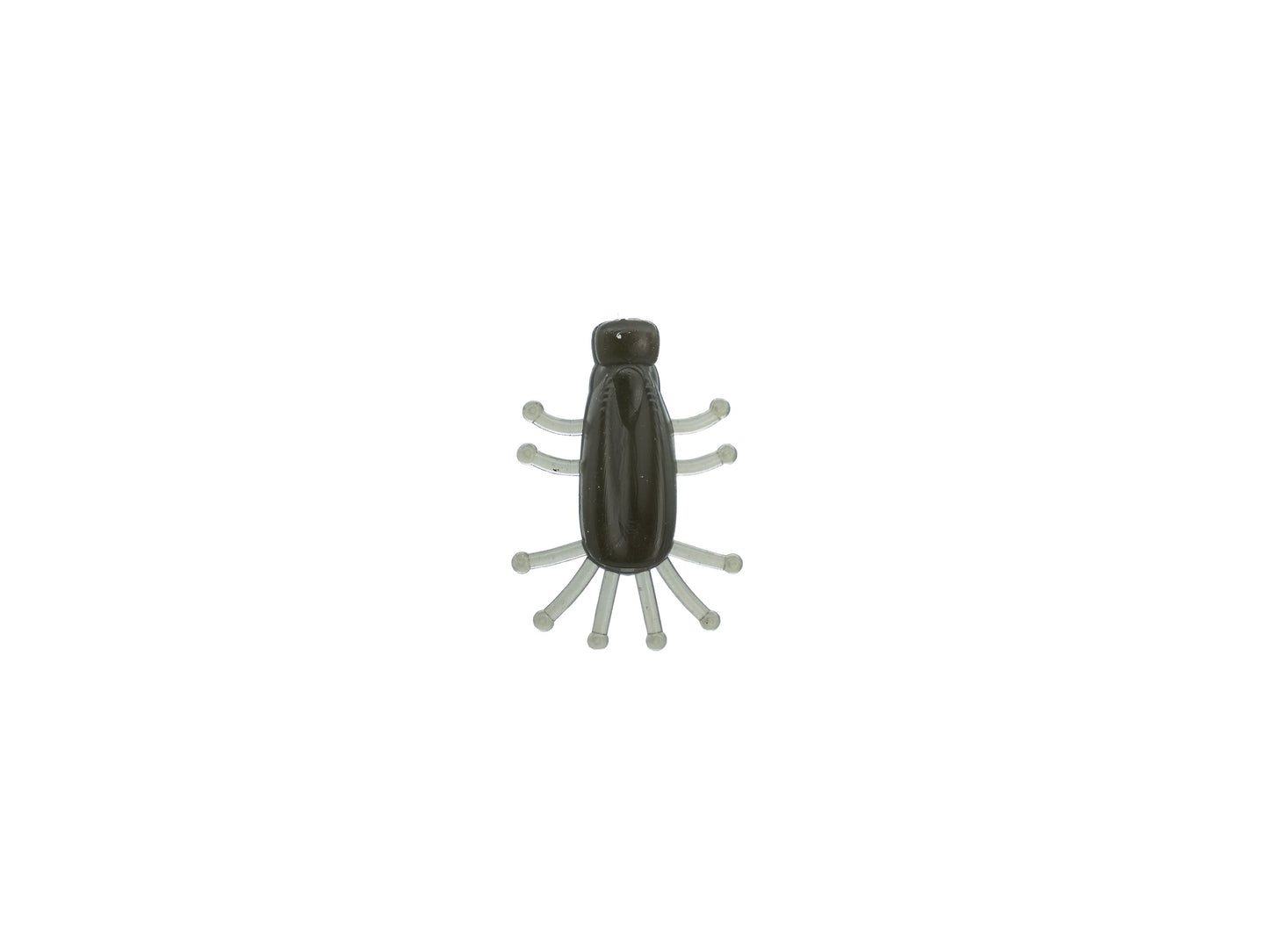 La Bébête 2,5cm / 0.98"